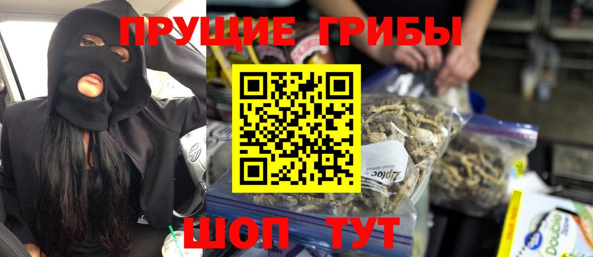 Псилоцибиновые грибы Psilocybine cubensis Рубцовск